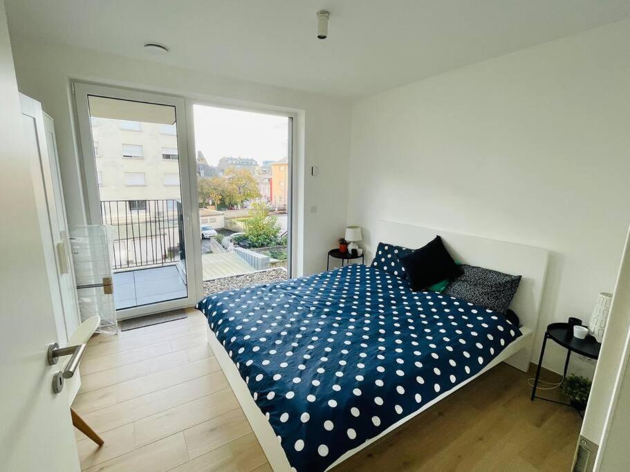 One Bedroom In Center W Terrace Lussemburgo